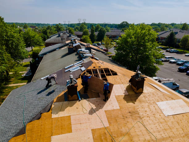 Trusted Storm Damage Roof Repair service in Alton, UT - Brentwood Metal Roofing